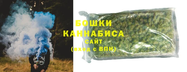 стаф Богданович