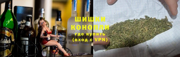 spice Богородицк