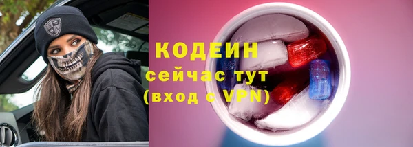 дмт Богородск