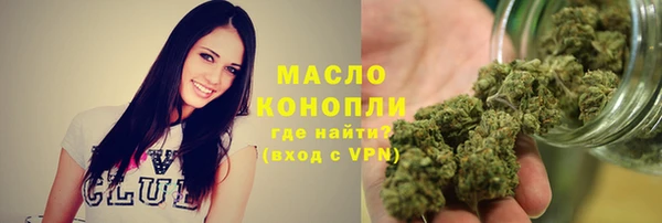 spice Богородицк