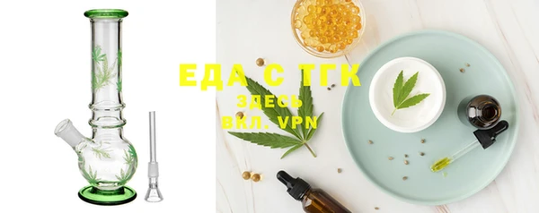 стаф Богданович