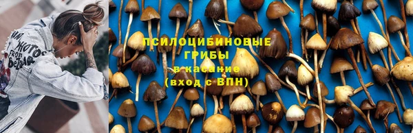 spice Богородицк