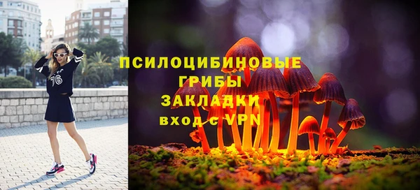 дмт Богородск
