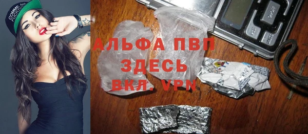 стаф Богданович