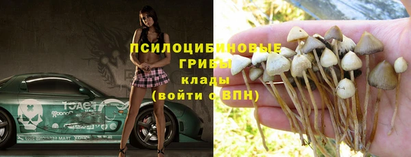 дмт Богородск