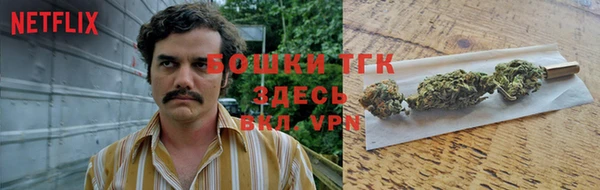 spice Богородицк