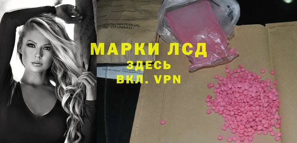 spice Богородицк