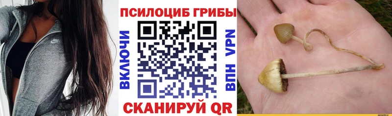 мега зеркало  Липецк  Псилоцибиновые грибы Psilocybine cubensis  наркотики 